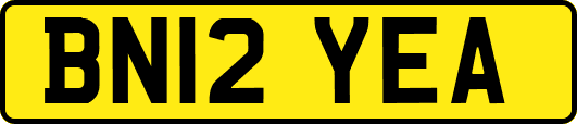 BN12YEA