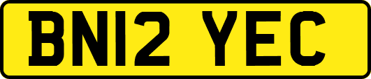 BN12YEC