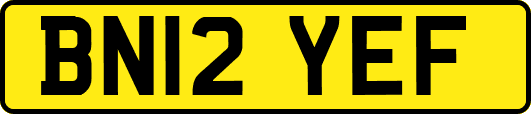 BN12YEF