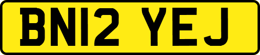 BN12YEJ