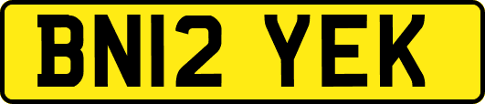 BN12YEK