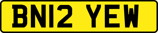 BN12YEW