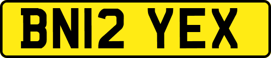 BN12YEX