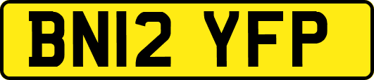 BN12YFP
