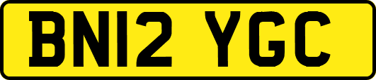 BN12YGC