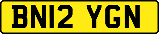 BN12YGN