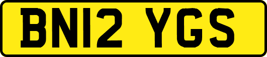 BN12YGS