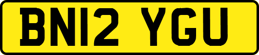 BN12YGU