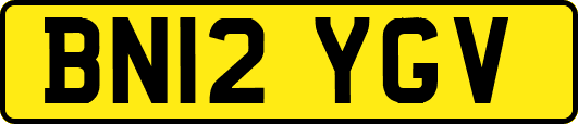 BN12YGV