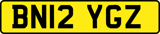 BN12YGZ