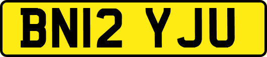 BN12YJU
