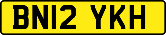 BN12YKH