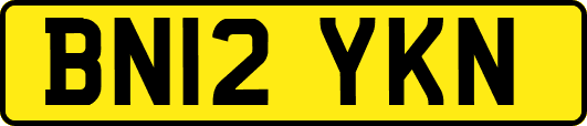 BN12YKN