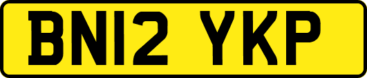 BN12YKP