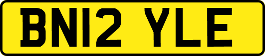 BN12YLE