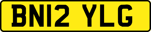 BN12YLG