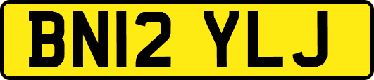 BN12YLJ