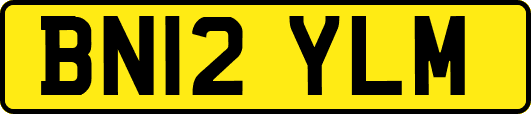 BN12YLM