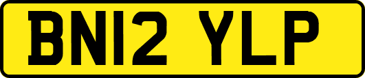 BN12YLP