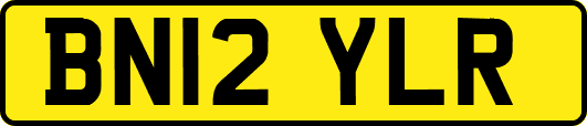 BN12YLR