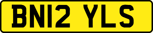 BN12YLS