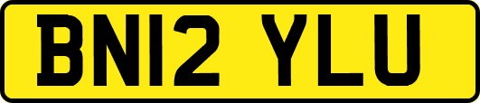 BN12YLU