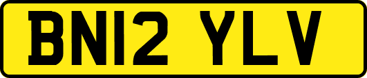 BN12YLV