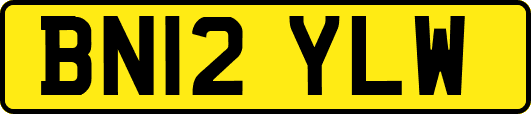 BN12YLW