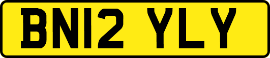 BN12YLY