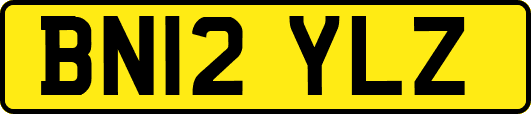 BN12YLZ
