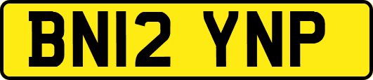 BN12YNP