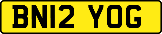 BN12YOG