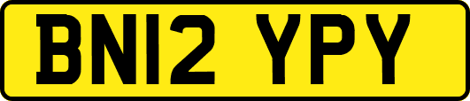 BN12YPY