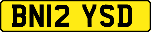 BN12YSD