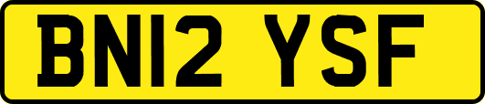 BN12YSF