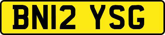 BN12YSG