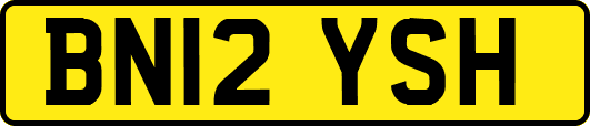BN12YSH
