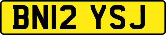 BN12YSJ