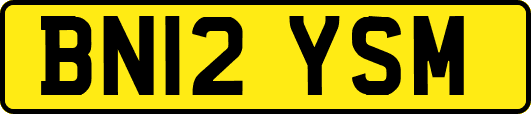 BN12YSM