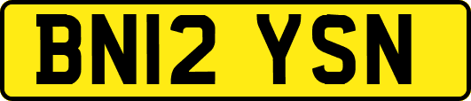 BN12YSN