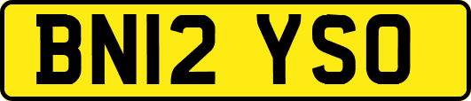 BN12YSO