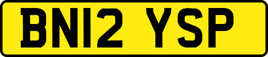 BN12YSP