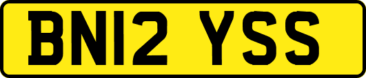 BN12YSS