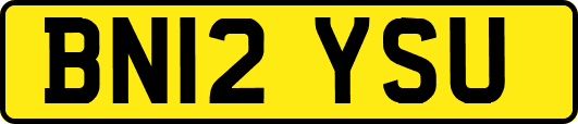 BN12YSU
