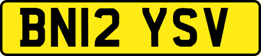 BN12YSV