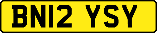 BN12YSY