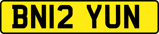 BN12YUN