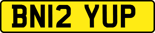 BN12YUP