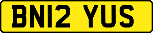 BN12YUS