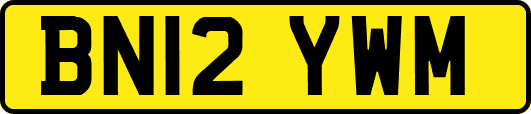 BN12YWM